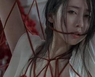 最新图包大放送！奶桃桃带着“不怕风吹”的傲娇，在天台演绎“极限挑战”！
