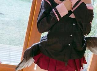 意想不到，是一只熊仔吗校园写真的资源配版从来不让你失望。