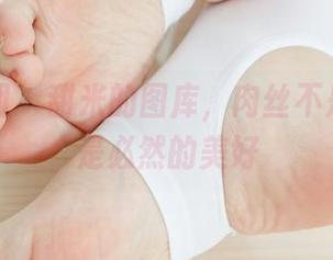 森萝财团 – 甜米的图库，肉丝不是偶然，是必然的美好