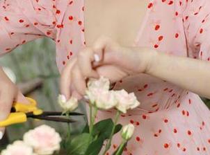 模范学院 – 有没有人能停下来看沈梦瑶的蕾丝美图更新？太好看了！